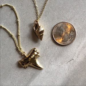 ❣️Last One❣️ 14k Gold Cowrie Shell Necklace